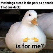 Image result for Draw a Duck Meme
