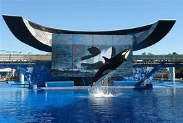 Image result for seaworld san antonio