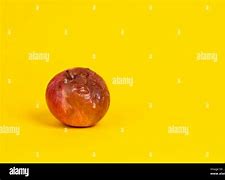 Image result for Image of a Rotten Apple with a Worm