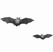 Image result for Realistic Bat Drawing