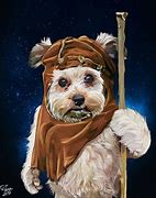 Image result for Star Wars Dog Meme