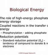Image result for Energy Definition Biological