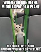 Image result for Cat Take a Seat Meme