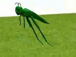 Image result for Cricket Insect Jumping