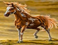 Image result for High Resolution Horse Wallpaper