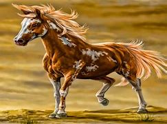 Image result for Beautiful Horse HD Wallpapers
