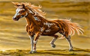 Image result for Cool Pictures of Wild Horses