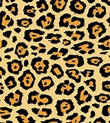 Image result for Cheetah Leopard Print Black and White