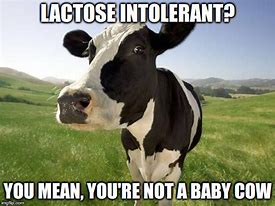Image result for Lactose Intolerant Meme