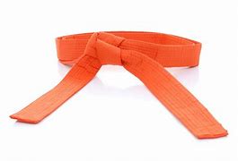 Image result for Hapkido Belt