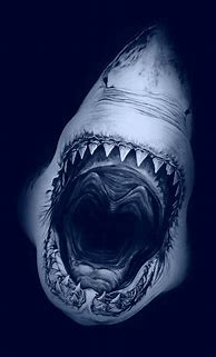 Image result for Zedge Shark Wallpaper