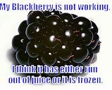 Image result for BlackBerry Fruit Funny