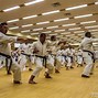 Image result for Karate in Japan Shuto