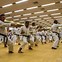 Image result for Japanese Exotic Karate