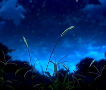 Image result for Night Grass Background