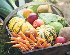 Image result for Autumn Produce