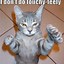 Image result for Waffles The Cat Memes