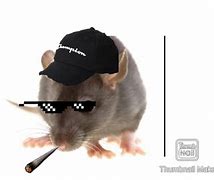 Image result for Rat Snitch Meme