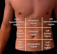 Image result for 9 Regions of Abdomen