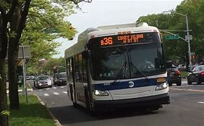 Image result for MTA Bus B-36