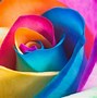 Image result for Galaxy Rainbow Flower