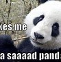 Image result for Panda Memes Clean