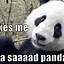 Image result for Haters Gonna Hate Panda Meme