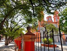 Image result for iguala