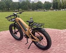 Image result for 750W Electric Bike