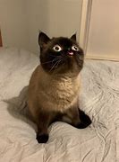 Image result for Cross Eyed Tongue Out Meme