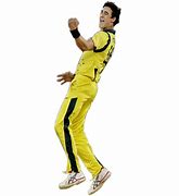 Image result for Australian Cricket Team Players