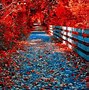 Image result for iPad Pro Autumn Wallpaper