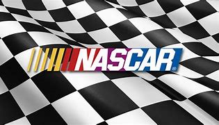 Image result for NASCAR 24