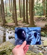 Image result for Haunted Trees Northern Ireland Game of Thrones