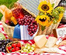 Image result for picnic