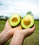 Image result for aguacba