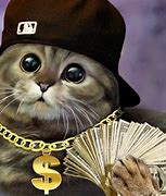 Image result for Thug Life Cat Wallpaper