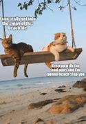 Image result for Cat Goes to Beach Meme