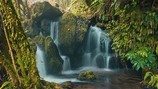 Image result for Ecotourism