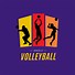 Image result for Volleyball Logo Design