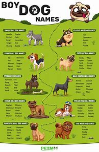 Image result for Manly Dog Names