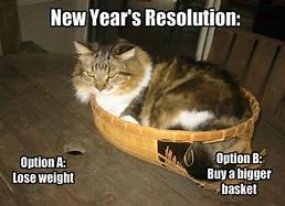 Image result for Happy New Year Cat Meme