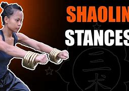 Image result for Shaolin Stances
