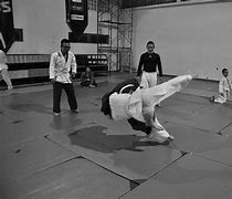 Image result for Combat Judo