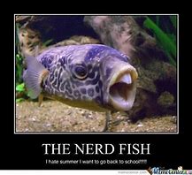 Image result for Aquarium Hobby Meme