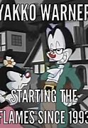 Image result for Animaniacs Memes