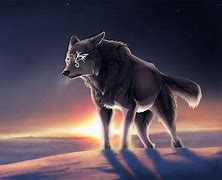 Image result for Pretty Anime Wolf
