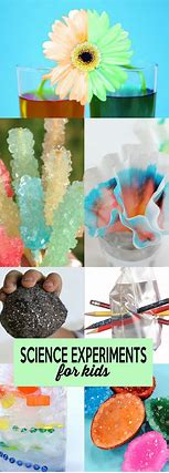 Image result for Science Activity Kids