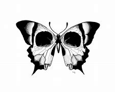 Image result for Butterfly Skull Art
