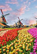 Image result for Netherlands Travel People